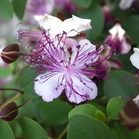 Casale905 منتجع Crecchio