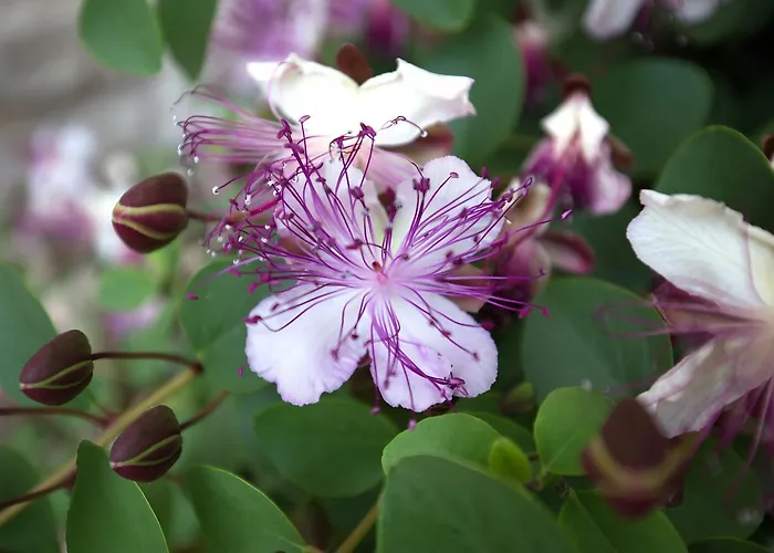 Casale905 Resort Crecchio